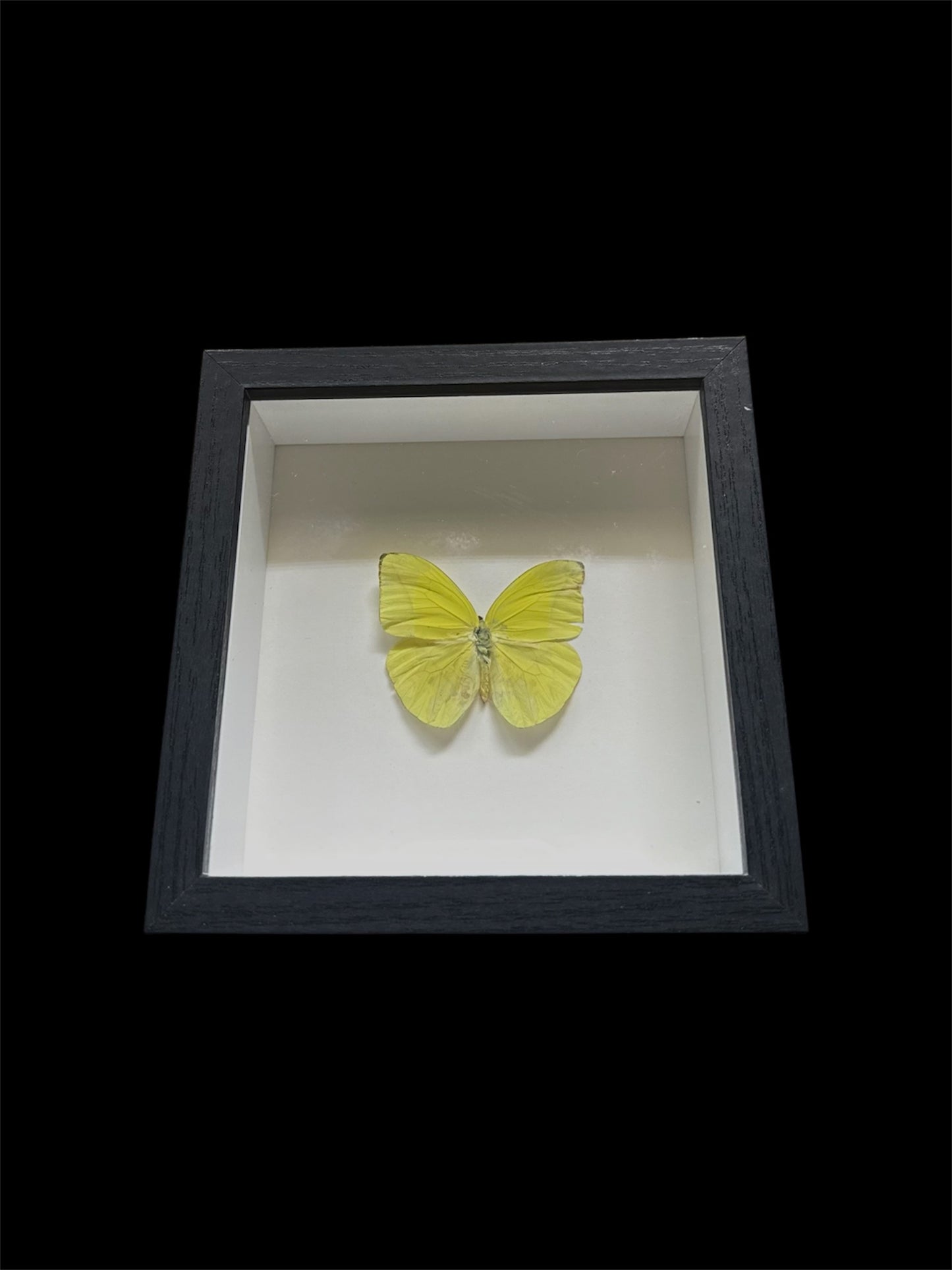 Yellow sulphur